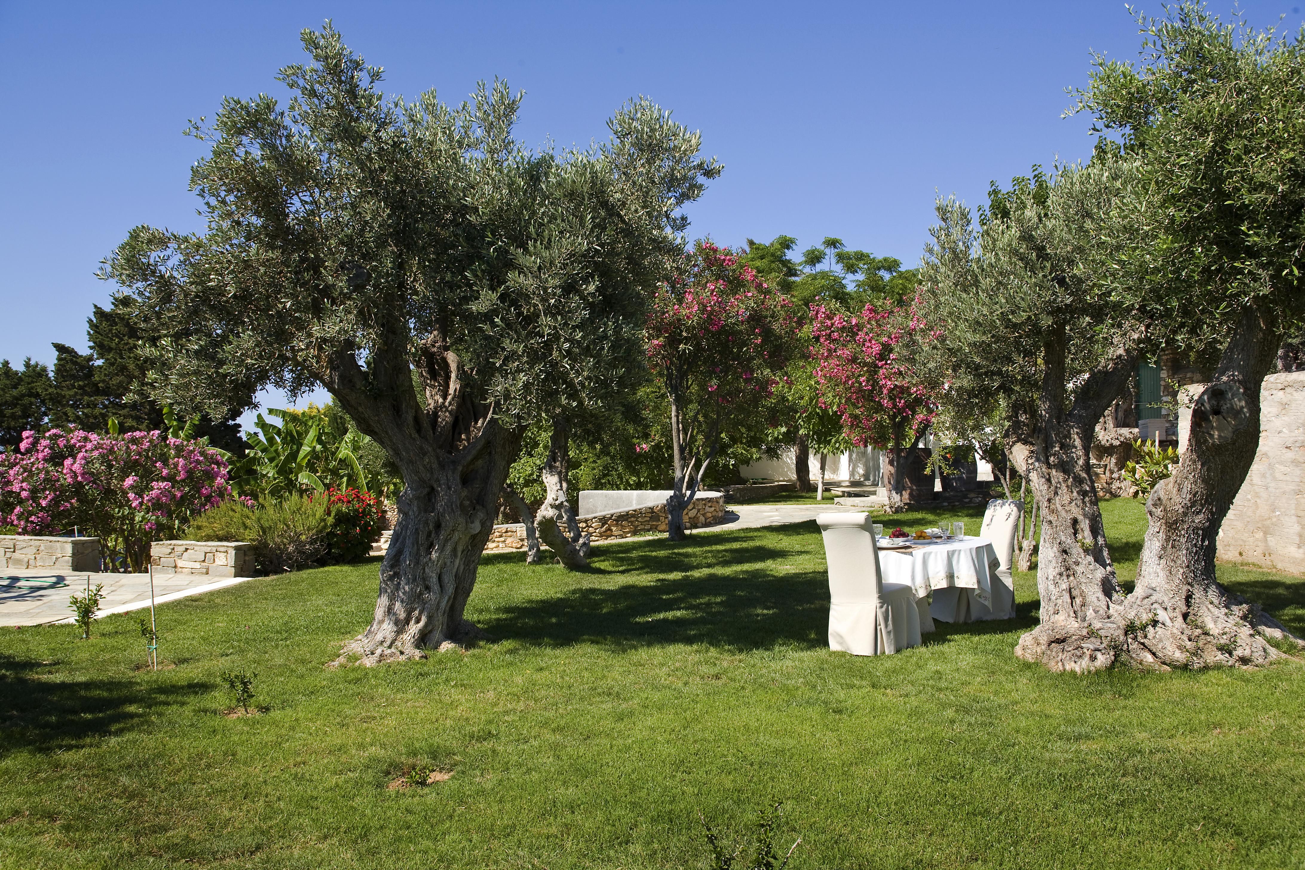 פרספורוס Yria Island Boutique Hotel & Spa מראה חיצוני תמונה